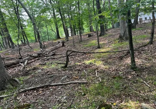 Photo 4 of Land for sale at 83 Park Dr, East Stroudsburg, PA 18302 | MLS# PM-133277 | Listing updated on 2025-07-29