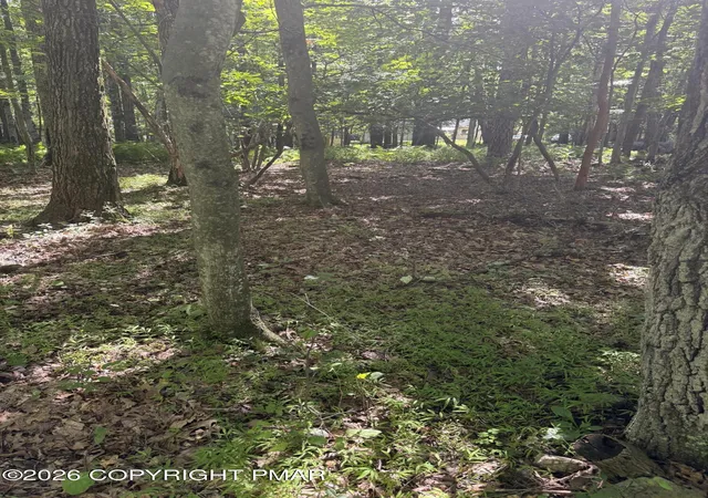 Photo 3 of Land for sale at Valley Rd 744, Effort, PA 18330 | MLS# PM-143871 | Listing updated on 2026-08-12
