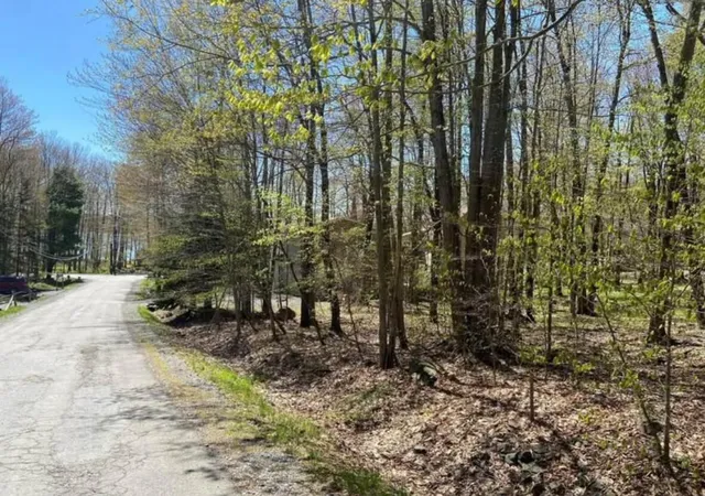 Photo 1 of Land for sale at 5 Skippack Trl 5 Trl, Pocono Lake, PA 18347 | MLS# PM-133284 | Listing updated on 2025-06-23