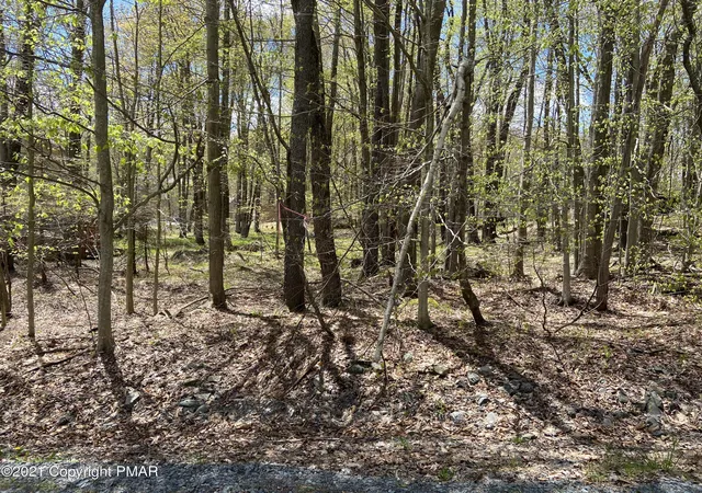 Photo 2 of Land for sale at 5 Skippack Trl 5 Trl, Pocono Lake, PA 18347 | MLS# PM-133284 | Listing updated on 2025-06-23