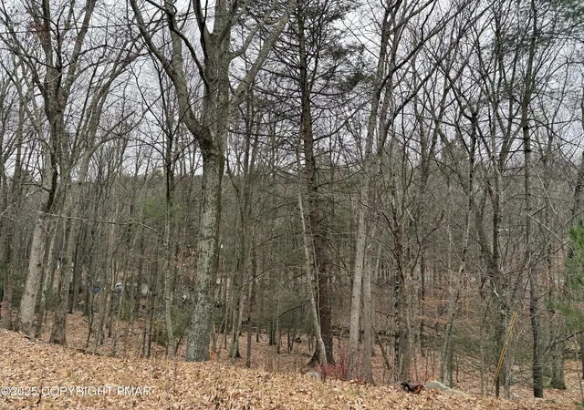 Photo 3 of Land for sale at 88 Fairfax Ter, East Stroudsburg, PA 18301 | MLS# PM-137304 | Listing updated on 2025-12-07