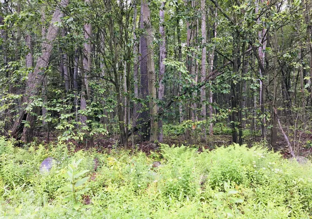 Photo 3 of Land for sale at 40 Gross Dr W, Pocono Pines, PA 18350 | MLS# PM-133538 | Listing updated on 2025-07-10