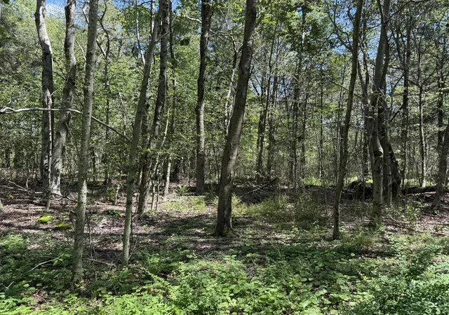 Photo 3 of Land for sale at 20 Wildbrooke Dr, Newfoundland, PA 18445 | MLS# PM-133657 | Listing updated on 2025-11-29