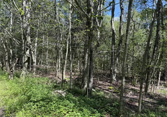 Photo 4 of Land for sale at 20 Wildbrooke Dr, Newfoundland, PA 18445 | MLS# PM-133657 | Listing updated on 2025-11-29