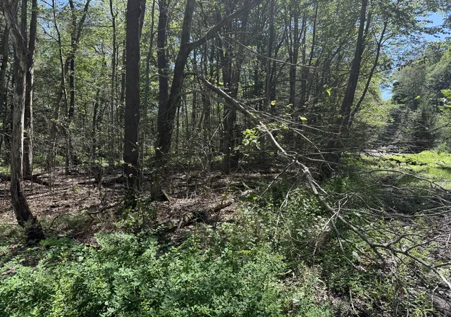 Photo 5 of Land for sale at 20 Wildbrooke Dr, Newfoundland, PA 18445 | MLS# PM-133657 | Listing updated on 2025-11-29