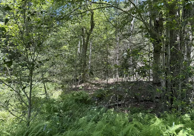 Photo 3 of Land for sale at 10 Pine Way, Newfoundland, PA 18445 | MLS# PM-133654 | Listing updated on 2025-11-29