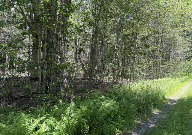 Photo 4 of Land for sale at 10 Pine Way, Newfoundland, PA 18445 | MLS# PM-133654 | Listing updated on 2025-11-29