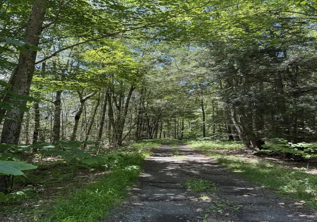 Homes for sale in Newfoundland, PA | 12 Pine Way, Newfoundland, PA 18445 | MLS# PM-133655