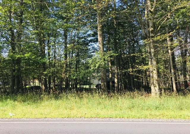 Photo 1 of Land for sale at Lot H22 Elizabeth Ln, Tobyhanna, PA 18466 | MLS# PM-133697 | Listing updated on 2026-01-30