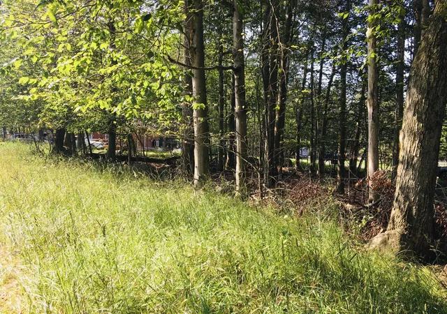 Photo 2 of Land for sale at Lot H22 Elizabeth Ln, Tobyhanna, PA 18466 | MLS# PM-133697 | Listing updated on 2026-01-30
