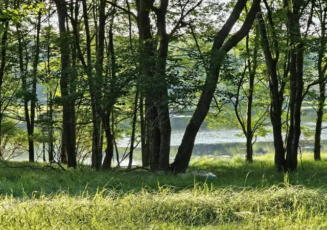 3rd image of 193 Highridge Rd, Albrightsville, PA 18210 | MLS# PM-133714