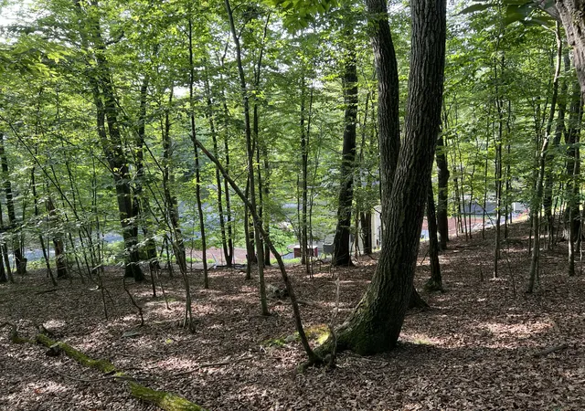Photo 3 of Land for sale at 5095 Yukon Dr, East Stroudsburg, PA 18302 | MLS# PM-133745 | Listing updated on 2025-07-10