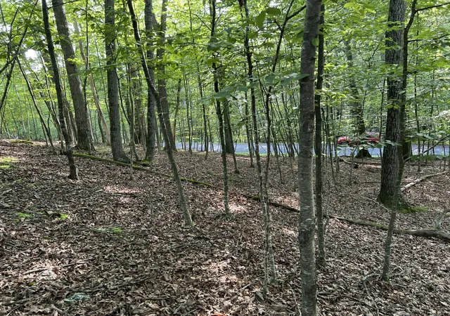 Photo 4 of Land for sale at 5095 Yukon Dr, East Stroudsburg, PA 18302 | MLS# PM-133745 | Listing updated on 2025-07-10