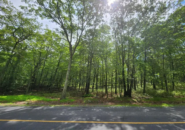 Photo 2 of Land for sale at Mallard, Bushkill, PA 18324 | MLS# PM-133763 | Listing updated on 2025-07-13