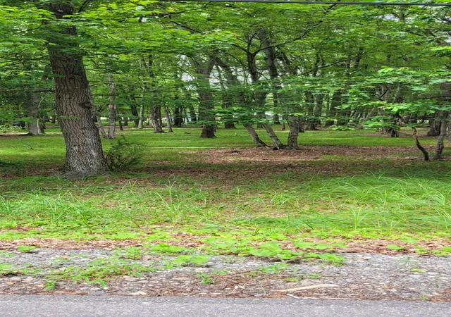 Photo 4 of Land for sale at A1010 State Rte 534, Albrightsville, PA 18210 | MLS# PM-133960 | Listing updated on 2025-08-19