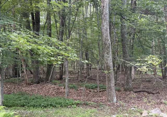 Homes for sale in Kunkletown, PA | Poplar Ln 33 Ln, Kunkletown, PA 18058 | MLS# PM-133986