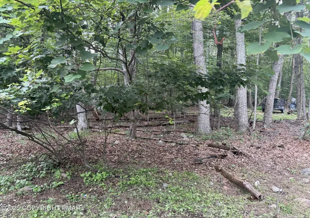 Photo 3 of Land for sale at Poplar Ln 33, Kunkletown, PA 18058 | MLS# PM-133986 | Listing updated on 2025-07-16