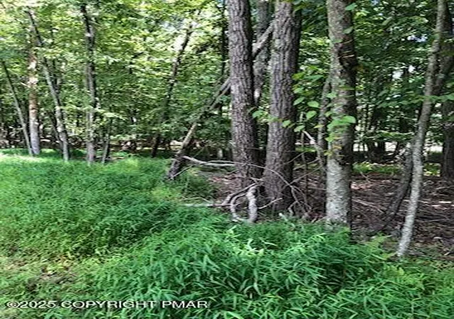 Photo 2 of Land for sale at 8 Delilah Rd, East Stroudsburg, PA 18302 | MLS# PM-134137 | Listing updated on 2025-07-19