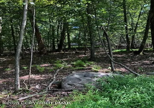 Photo 3 of Land for sale at 8 Delilah Rd, East Stroudsburg, PA 18302 | MLS# PM-134137 | Listing updated on 2025-07-19