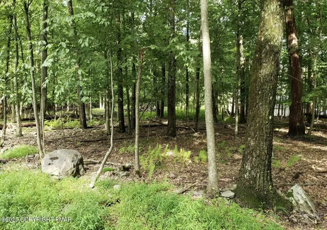 Photo 4 of Land for sale at 8 Delilah Rd, East Stroudsburg, PA 18302 | MLS# PM-134137 | Listing updated on 2025-07-19