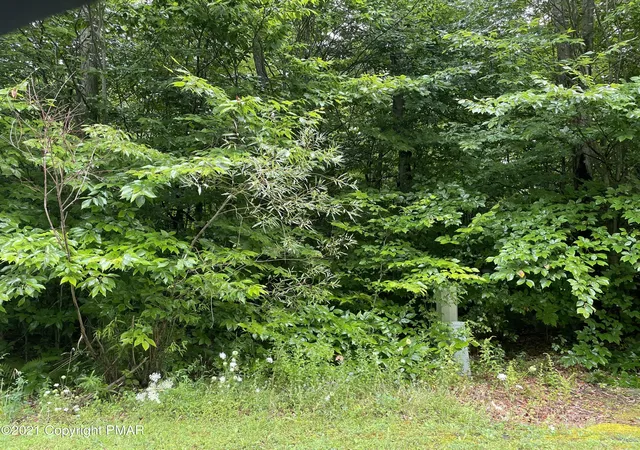 Homes for sale in Blakeslee, PA | Lot 33 Scenic Dr, Blakeslee, PA 18610 | MLS# PM-134017