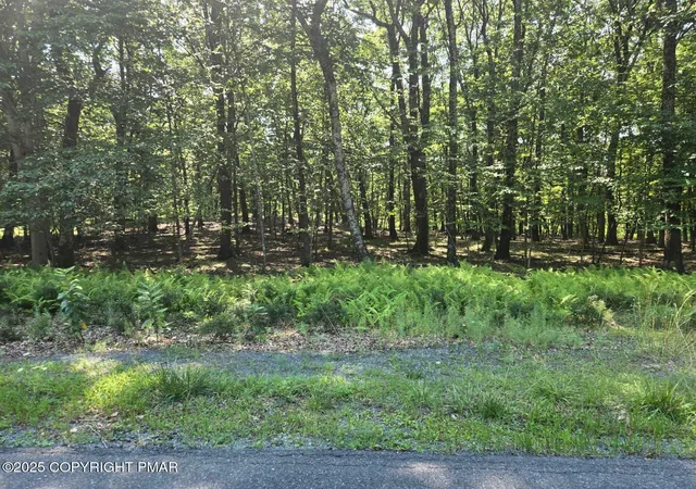 Photo 2 of Land for sale at 44 Whippoorwill Dr, Bushkill, PA 18324 | MLS# PM-134321 | Listing updated on 2025-08-05