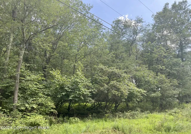 Photo 1 of Land for sale at 224 & 225 Bluejay Dr, Jim Thorpe, PA 18229 | MLS# PM-134576 | Listing updated on 2025-08-06