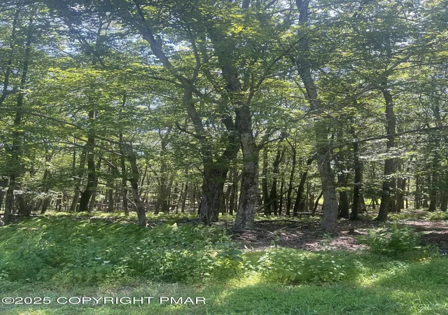 Homes for sale in Bushkill, PA | 315 Doe Loop, Bushkill, PA 18324 | MLS# PM-134757
