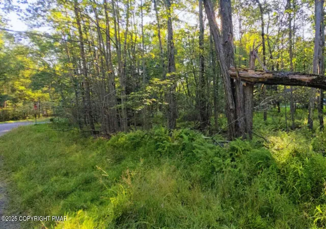 Photo 1 of Land for sale at 260 Pontiac Path, Pocono Lake, PA 18347 | MLS# PM-134885 | Listing updated on 2025-11-03