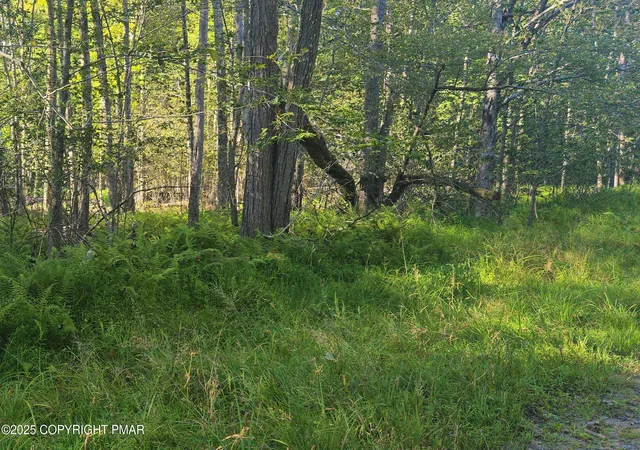 Photo 2 of Land for sale at 260 Pontiac Path, Pocono Lake, PA 18347 | MLS# PM-134885 | Listing updated on 2025-11-03