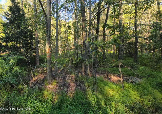 Photo 2 of Land for sale at 260 Pontiac Path, Pocono Lake, PA 18347 | MLS# PM-134885 | Listing updated on 2025-11-03