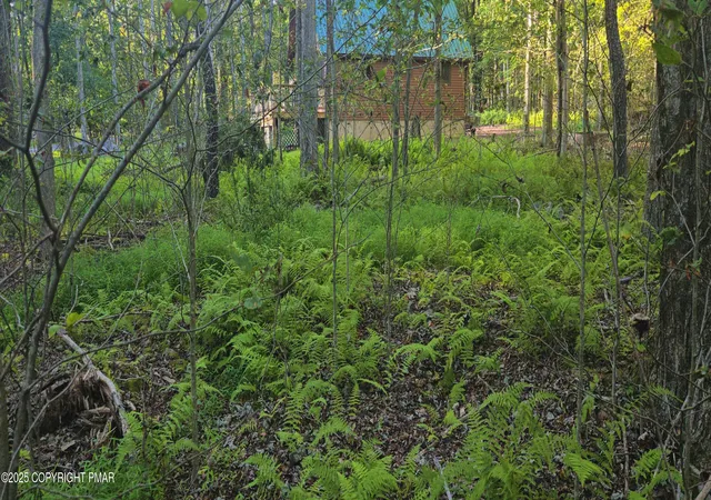 Photo 3 of Land for sale at 260 Pontiac Path, Pocono Lake, PA 18347 | MLS# PM-134885 | Listing updated on 2025-11-03