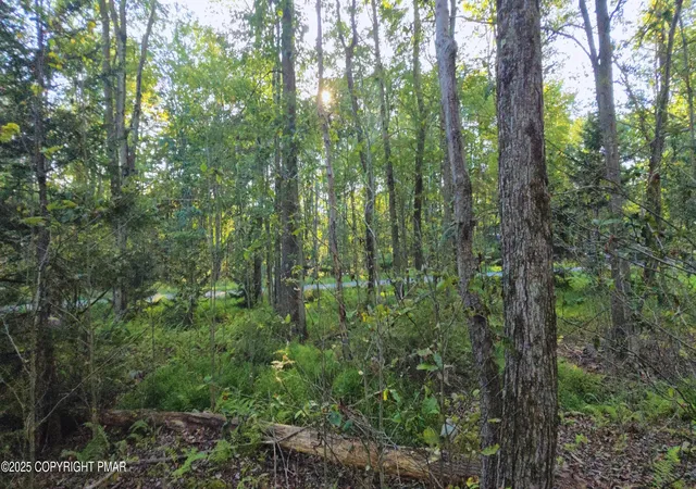 Photo 4 of Land for sale at 260 Pontiac Path, Pocono Lake, PA 18347 | MLS# PM-134885 | Listing updated on 2025-11-03