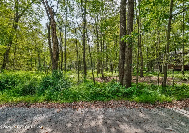 Photo 3 of Land for sale at 804 Evergreen Dr, Pocono Lake, PA 18347 | MLS# PM-134917 | Listing updated on 2025-11-26