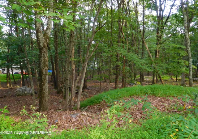 Photo 1 of Land for sale at 553 Sioux Dr, East Stroudsburg, PA 18302 | MLS# PM-134968 | Listing updated on 2025-11-14