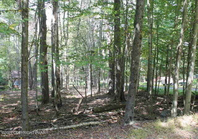 Photo 2 of Land for sale at Buffalo Trl #8, Pocono Lake, PA 18347 | MLS# PM-135255 | Listing updated on 2025-08-30