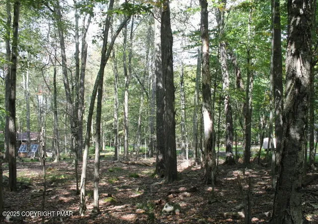 Photo 3 of Land for sale at Buffalo Trl #8, Pocono Lake, PA 18347 | MLS# PM-135255 | Listing updated on 2025-08-30