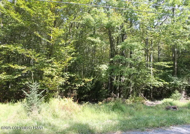Photo 1 of Land for sale at Sheshequin Dr 24, Pocono Lake, PA 18347 | MLS# PM-135259 | Listing updated on 2025-08-30