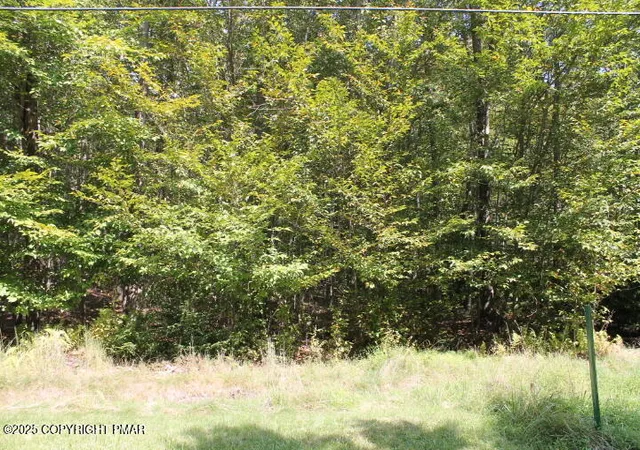 Photo 2 of Land for sale at Sheshequin Dr 24, Pocono Lake, PA 18347 | MLS# PM-135259 | Listing updated on 2025-08-30