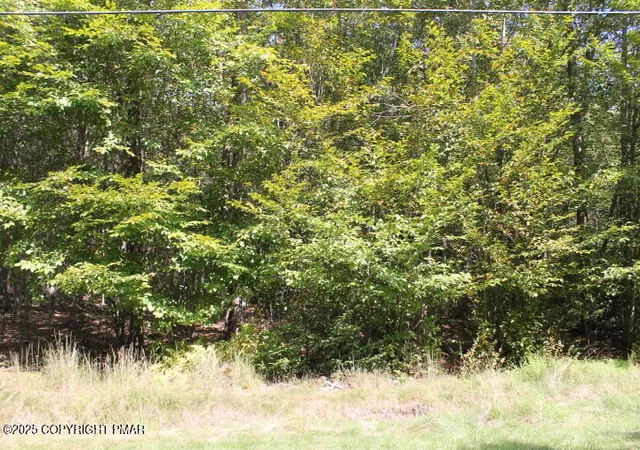 Photo 2 of Land for sale at Sheshequin Dr 24, Pocono Lake, PA 18347 | MLS# PM-135259 | Listing updated on 2025-08-30