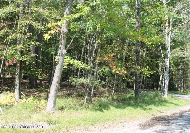 Photo 2 of Land for sale at Omaha Trl 21, Pocono Lake, PA 18347 | MLS# PM-135261 | Listing updated on 2025-08-30