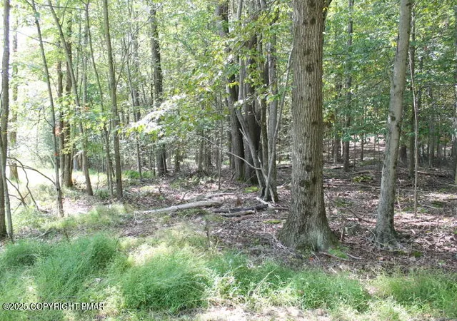 Photo 3 of Land for sale at Omaha Trl 21, Pocono Lake, PA 18347 | MLS# PM-135261 | Listing updated on 2025-08-30