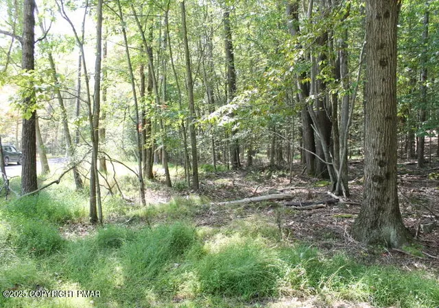 Photo 3 of Land for sale at Omaha Trl 21, Pocono Lake, PA 18347 | MLS# PM-135261 | Listing updated on 2025-08-30