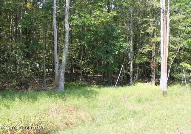 Photo 4 of Land for sale at Omaha Trl 21, Pocono Lake, PA 18347 | MLS# PM-135261 | Listing updated on 2025-08-30