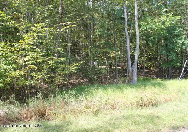 Photo 3 of Land for sale at Omaha Trl 22, Pocono Lake, PA 18347 | MLS# PM-135264 | Listing updated on 2025-08-30