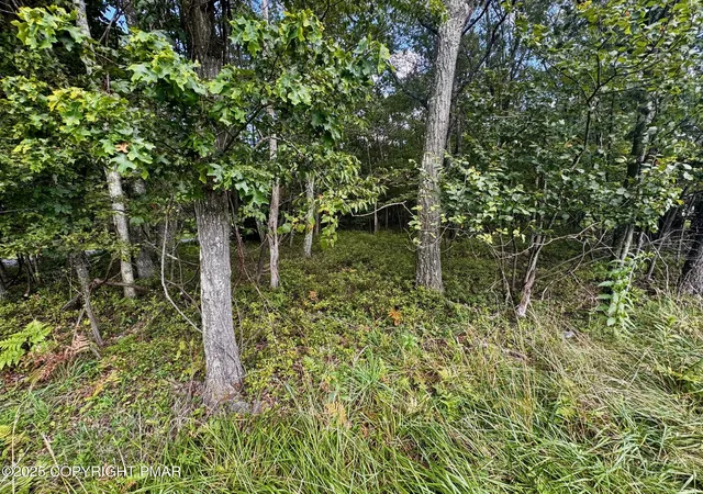 Photo 2 of Land for sale at Bear Lane & Behrens Rd, Jim Thorpe, PA 18229 | MLS# PM-135353 | Listing updated on 2025-09-03