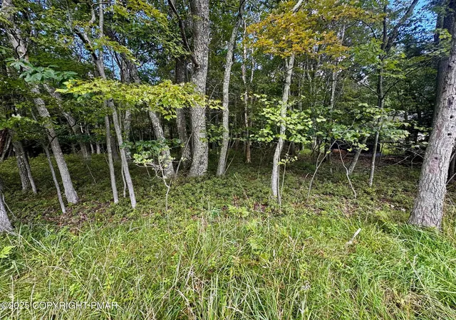Photo 3 of Land for sale at Bear Lane & Behrens Rd, Jim Thorpe, PA 18229 | MLS# PM-135353 | Listing updated on 2025-09-03