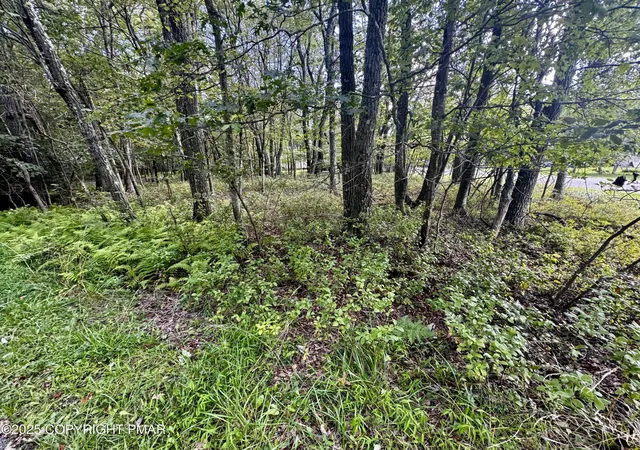 Photo 3 of Land for sale at Bear Lane & Behrens Rd, Jim Thorpe, PA 18229 | MLS# PM-135353 | Listing updated on 2025-09-03