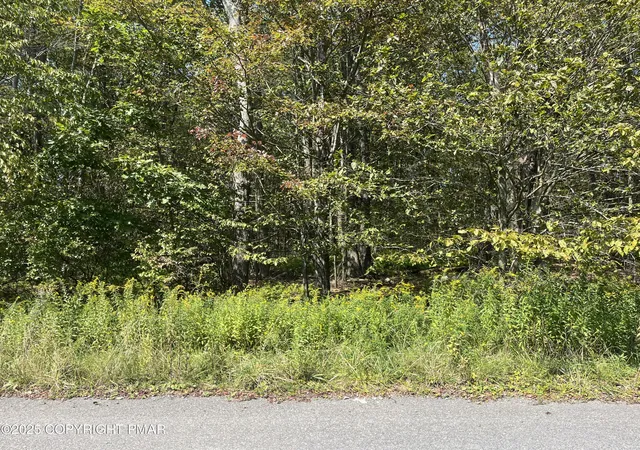Photo 3 of Land for sale at W Of Lr 9 W Centennial Ct, Tobyhanna, PA 18466 | MLS# PM-135678 | Listing updated on 2026-08-31
