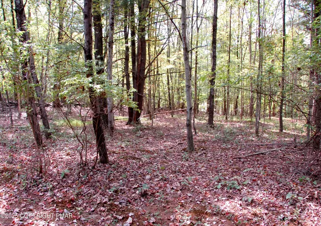Photo 2 of Land for sale at Rose Marie Ln 415, East Stroudsburg, PA 18302 | MLS# PM-135935 | Listing updated on 2025-11-04